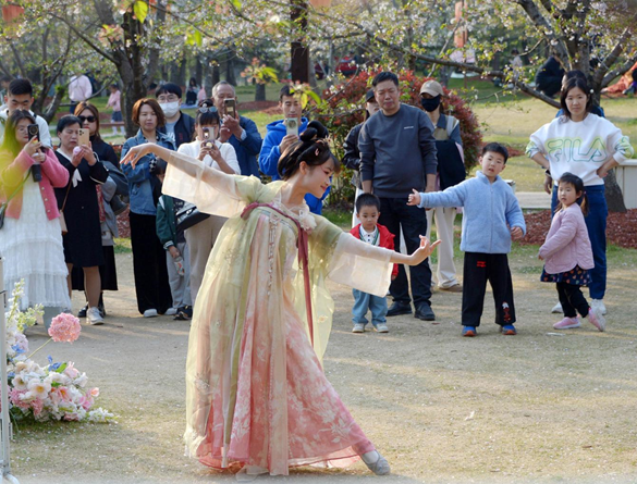 清明假期期間，上海顧村公園櫻花島上，游客在觀賞國風(fēng)漢服快閃表演。（圖片來源：視覺中國）
