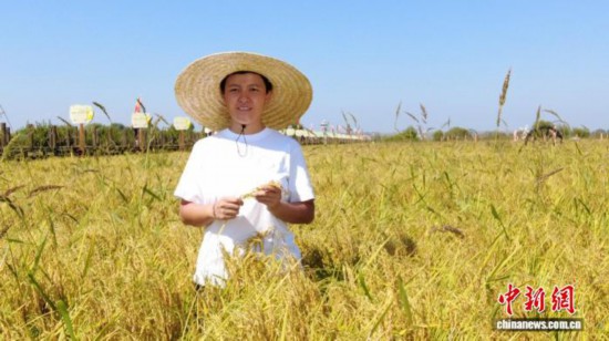 全國(guó)人大代表、寧安市渤海鎮(zhèn)上官地村黨支部書記、村委會(huì)主任陳雨佳在稻田中。 受訪者供圖